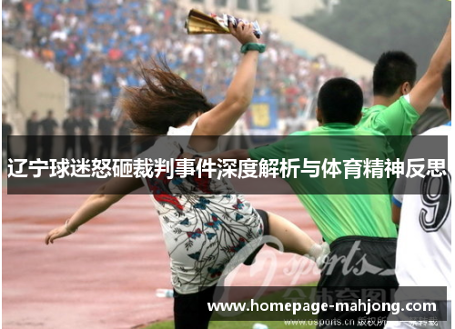 辽宁球迷怒砸裁判事件深度解析与体育精神反思