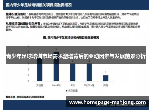 青少年足球培训市场需求激增背后的驱动因素与发展前景分析